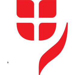 Vienna Insurance Logo